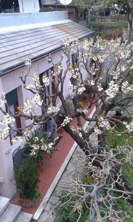 Casa Tra Il Verde E Il Blu 热那亚 外观 照片